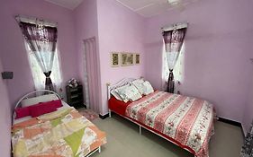 Dan'S Homestay Bangau
